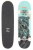 Arbor Seed Street 7.5 skateboard