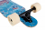 D Street Dropthrough Reef Longboard