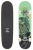 Arbor Seed Street 7.25 skateboard