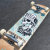 Z-Flex Street Complete 8.00 skateboard