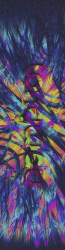 Longway Printed Neon Ribbons GripTape