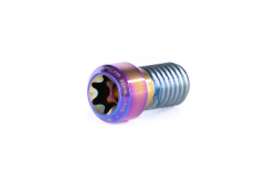 Ethic clamp titanium screw Neochrome