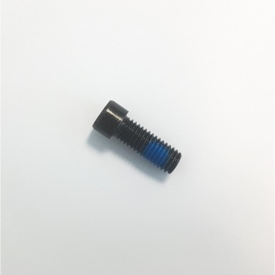 BLUNT CLAMP BOLT