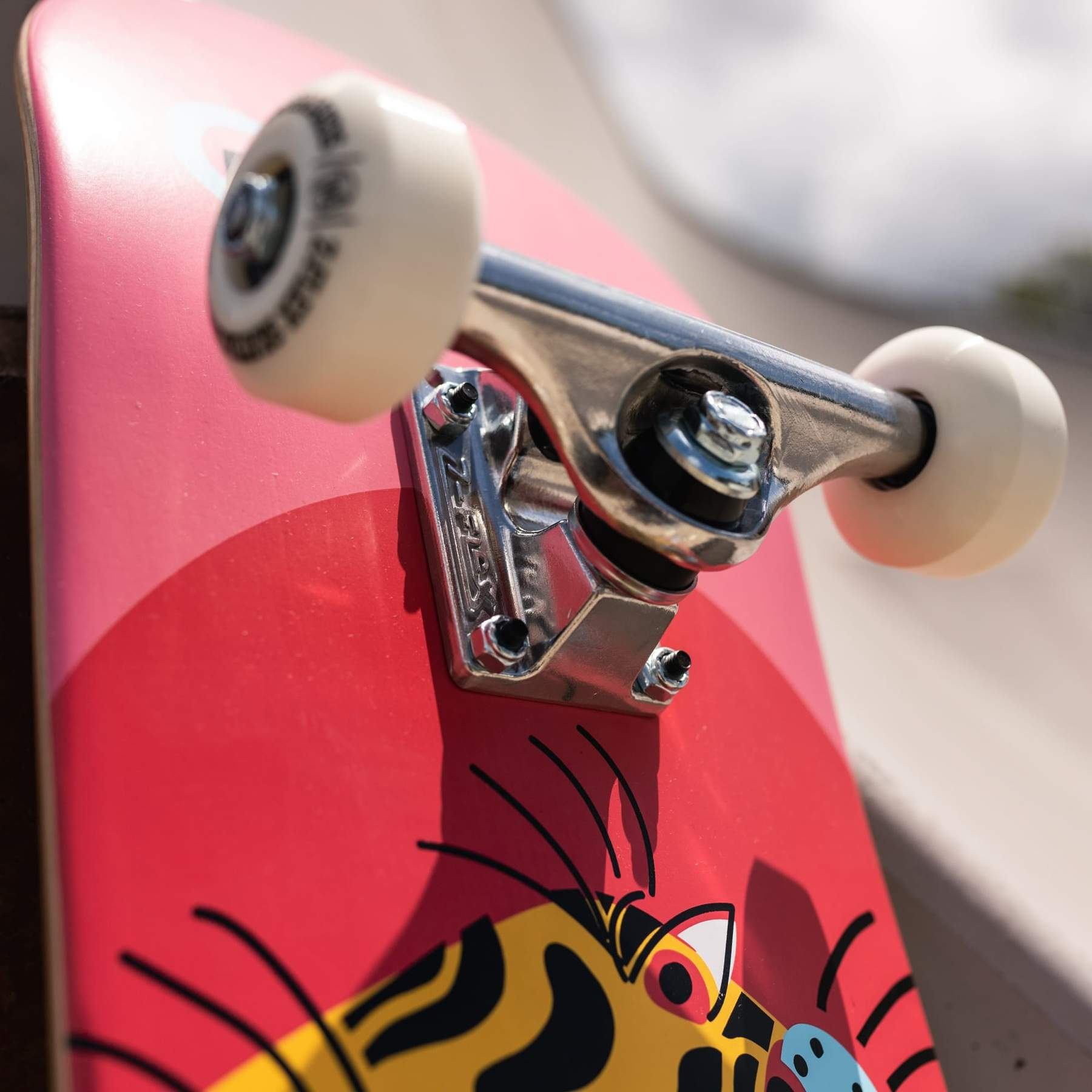 Z-Flex Street Complete 7.8 skateboard